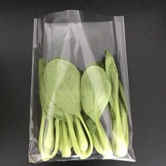 حقيبة مضادة للضباب